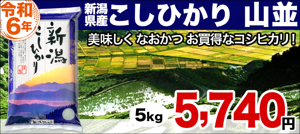 新潟産コシヒカリ山並