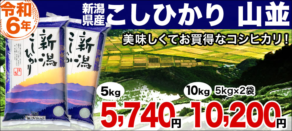 新潟産コシヒカリ山並
