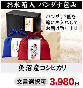 箱入りバンダナ包み