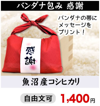 バンダナ包み感謝
