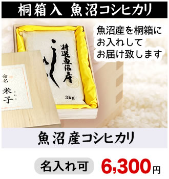 豪華桐箱入り魚沼