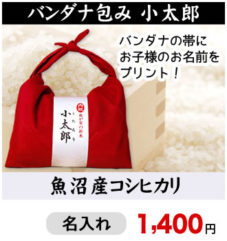 バンダナ包み小太郎