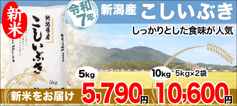 こしいぶき