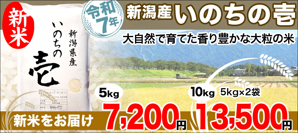 いのちの壱