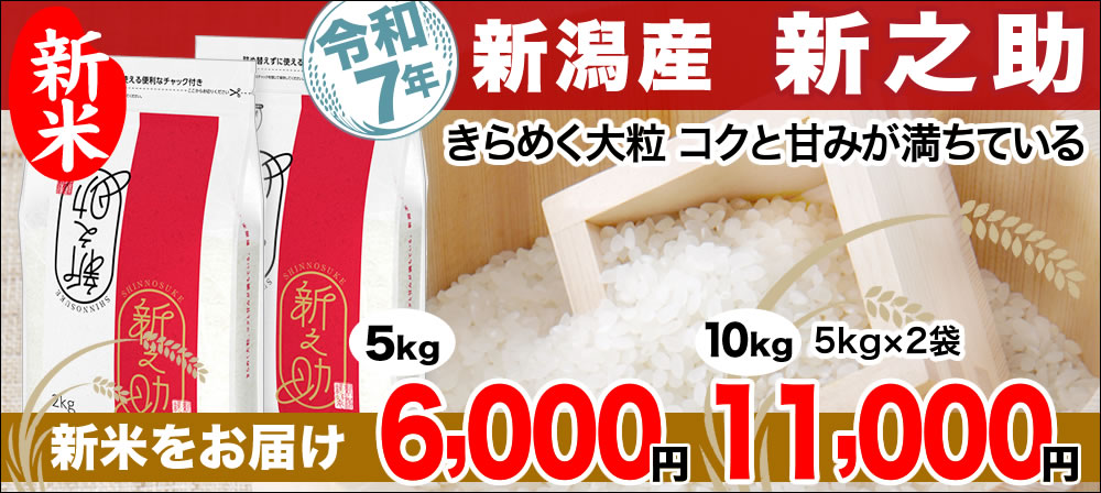新之助