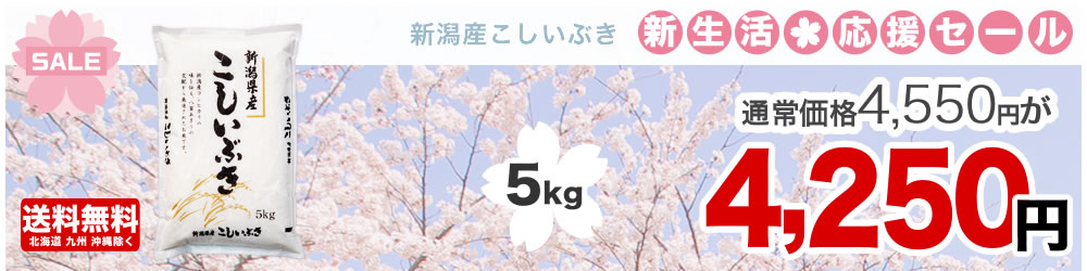 新潟県産こしいぶき 5kg