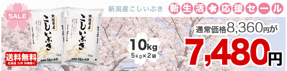 新潟県産こしいぶき 10kg