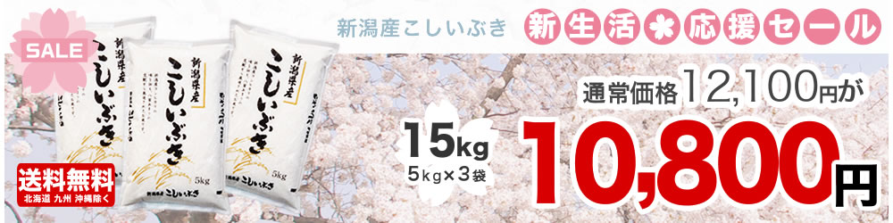 新潟県産こしいぶき 10kg