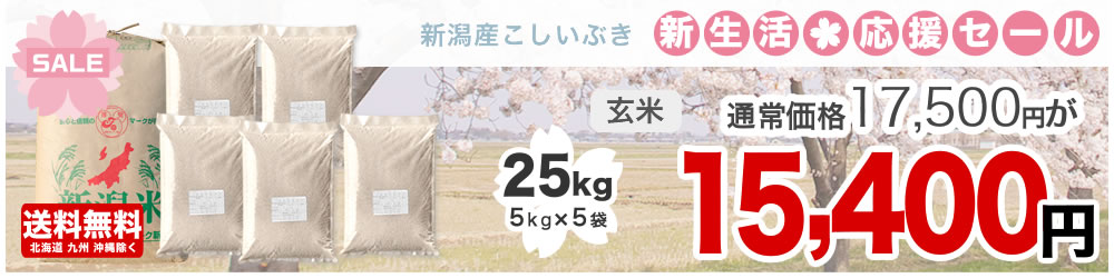 新潟県産こしいぶき 25kg