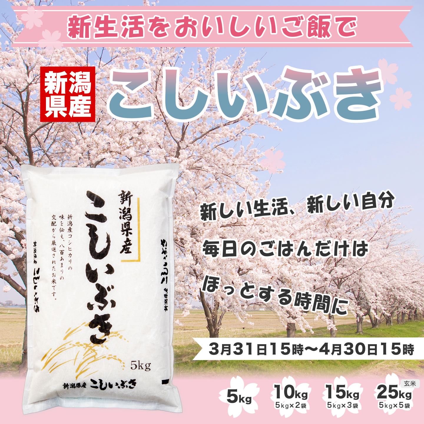 新潟県産こしいぶき 25kg