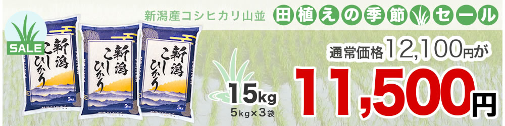 山並