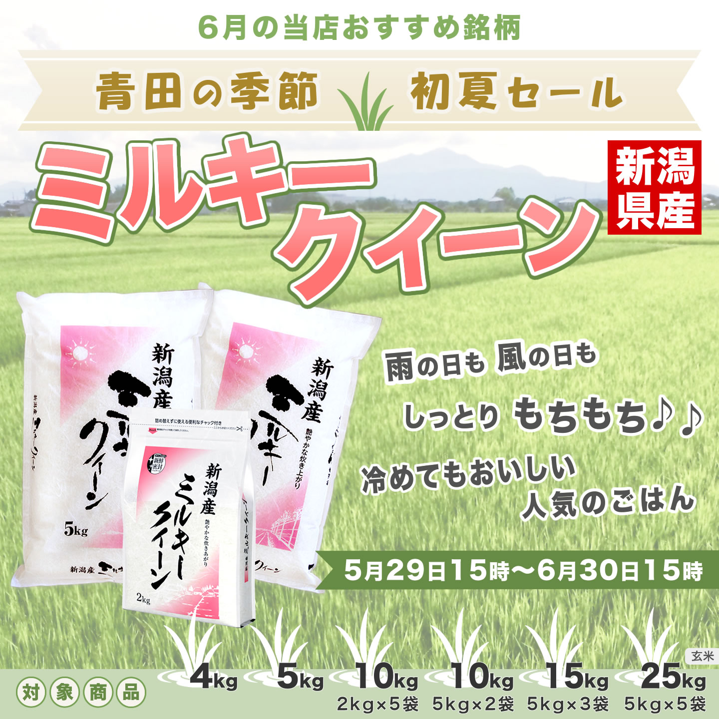 ミルキークイーン 初夏セール