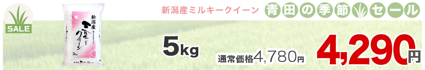 ミルキークイーン