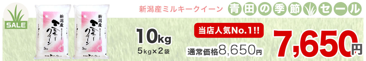 新潟産ミルキークイーン
