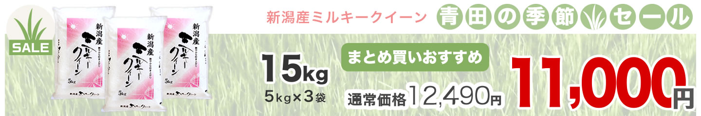 新潟産ミルキークイーン