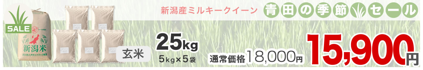 新潟産ミルキークイーン