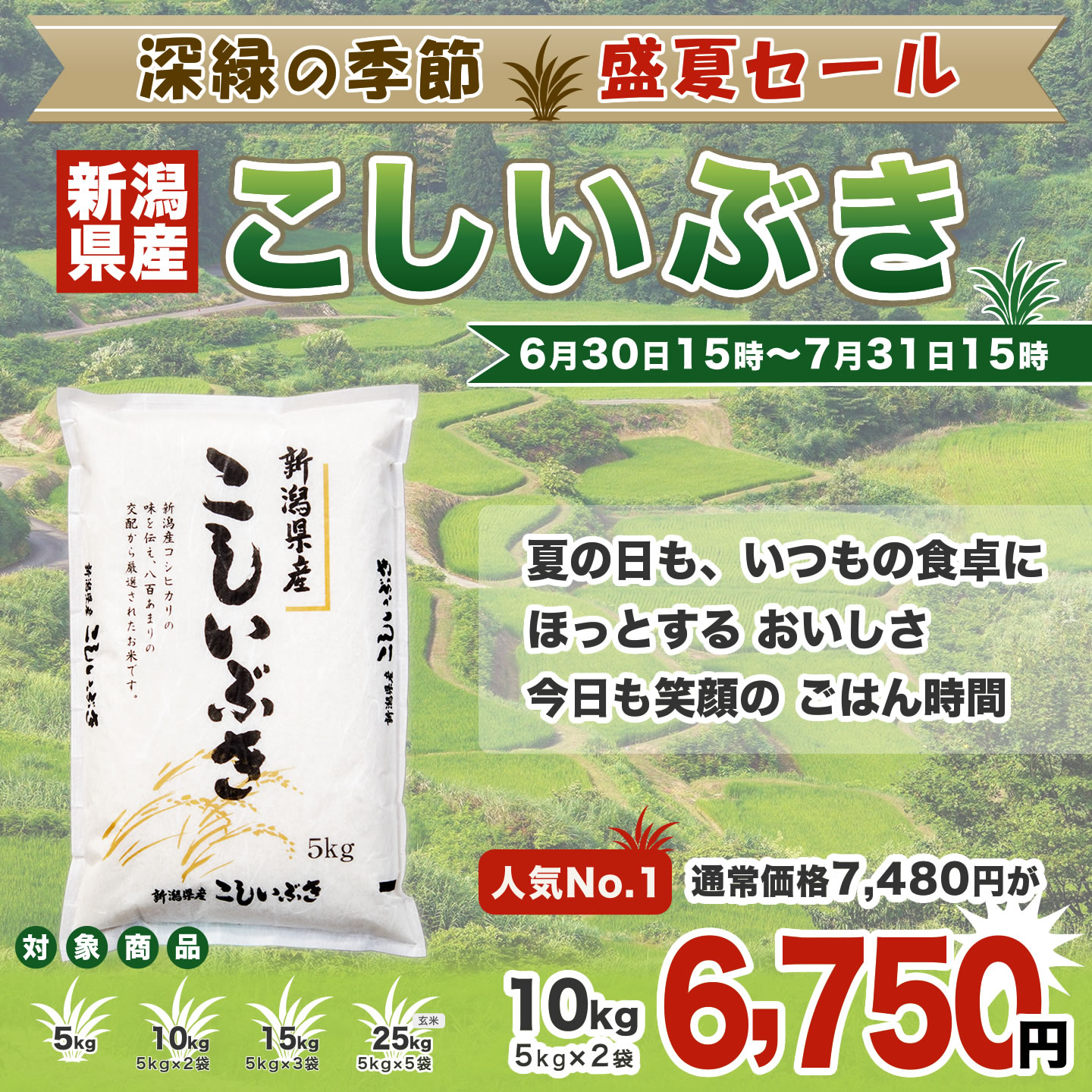 令和7年産 新潟県産こしいぶき 5kg