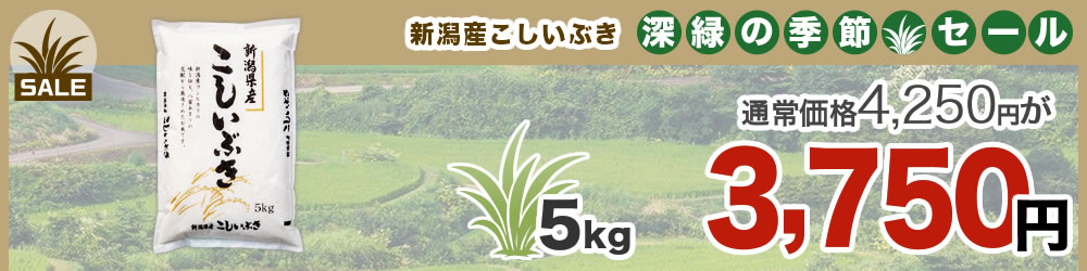令和7年産 新潟県産こしいぶき 5kg