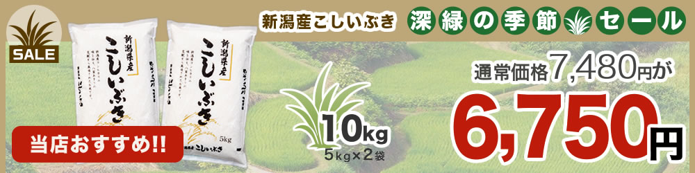令和7年産新潟県産こしいぶき 10kg