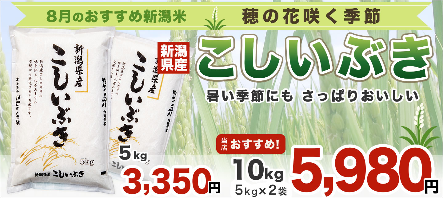 いぶき