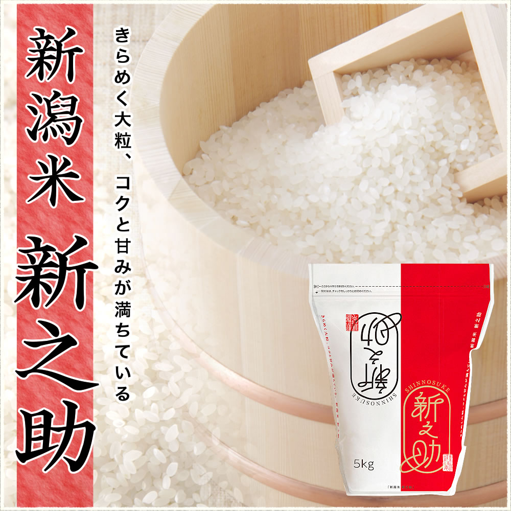 令和7年産　新潟　新之助　白米5キロ2個（5kg×2) 1０キロ　★農家直送 令和7年産 新潟県産 新之助 5kg