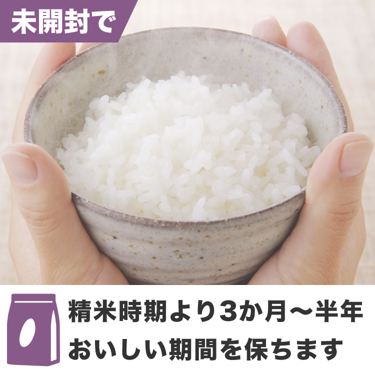 新鮮密封ミルキークイーン