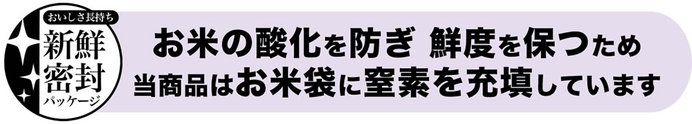 窒素充填包装